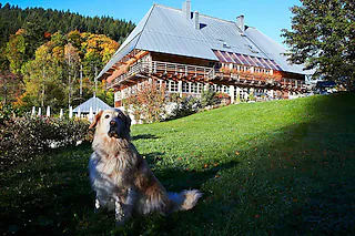 <ONBU>Abgelegen und idyllisch liegt das Gasthaus "Sommerau" im Steinatal. Küchenchef Karl-Thomas Hegar verwöhnt seine Gäste mit erlesenen regionalen Spezialitäten.</ONBU>Abgelegen und idyllisch liegt das Gasthaus "Sommerau" im Steinatal. Küchenchef Karl-Thomas Hegar verwöhnt seine Gäste mit erlesenen regionalen Spezialitäten. [privat]