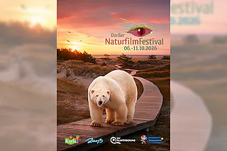 Festivalpass Dual
