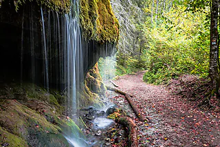 Dietfurter Wasserfall