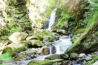 Ravennaschlucht