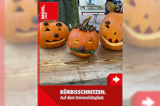 Kürbis schnitzen - auf dem Universitätsplatz