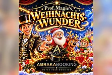 Prof. Magic's Weihnachtswunder