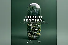 Forest Festival