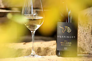 Wein-Genusstour Pfeffingen - Entdecke das Weingut mit dem Einhorn