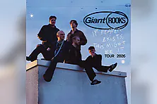 Giant Rooks
