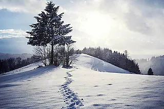 Ortsteil Vogelbach