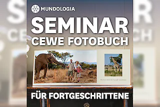 MUNDOLOGIA-Seminar: CEWE Fotobuch für Fortgeschrittene