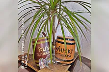 Tasting Whisky gegen Rum am 13.03.2027