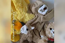 Puppen- & Teddyklinik: Stofftier-Stopfen
