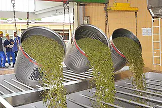 Badischer Winzerkeller