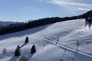 Rollspitzlift
