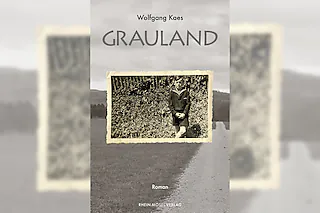 Grauland