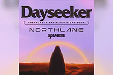 Dayseeker