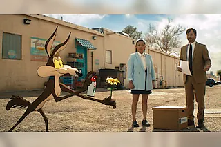 Coyote vs. Acme