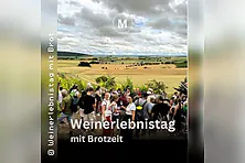Weinerlebnistag - Winteredition