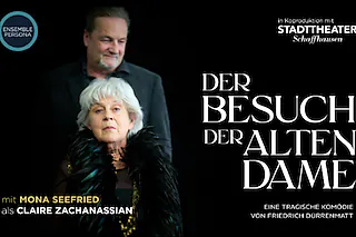 Besuch der alten Dame