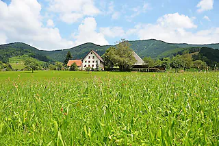 Hofbauernhof