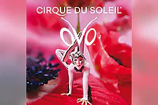 Cirque du Soleil OVO