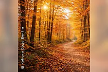 Herbstferien-Camp 2026