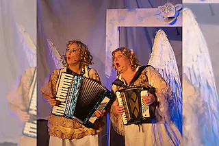 Die Zwingelinge