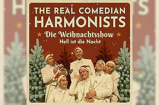 The Real Comedian Harmonists - Hell ist die Nacht