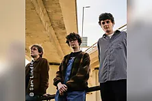 Shaking Hand (UK)