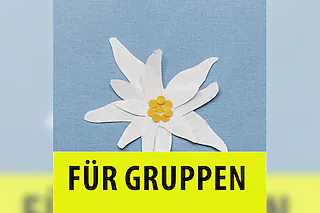 Heidi - Gruppenvorstellung