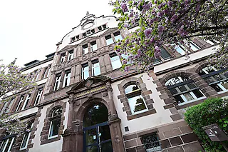 Turnseeschule