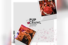 Pup Crawl - Die Freiburger Kneipentour