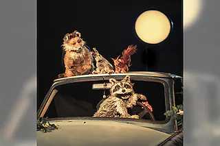 Theater Kuckucksheim - Tanz der Tiere