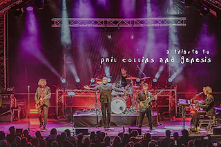 True Collins