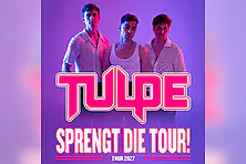 Tulpe
