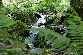 Zastlerbach