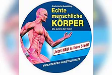 Ausstellung ECHTE KÖRPER