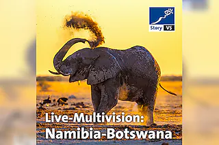 story VS: Namibia - Botswana - Echo der Schöpfung