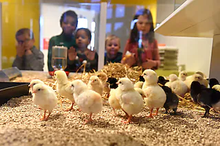 Museum Natur und Mensch
