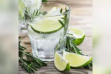 Gin o´clock - Das Gin Seminar