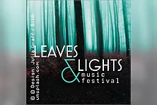 Leaves & Lights