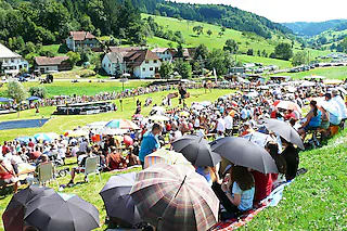 Dorfwiese (Prinzbach)