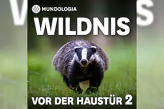 MUNDOLOGIA: Wildnis vor der Haustür 2