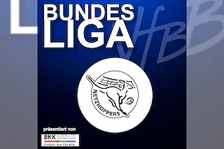 VfB Friedrichshafen - Energiequelle Netzhoppers KW
