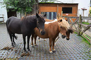 Erlenhof Himmelreich