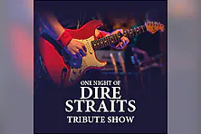 One Night of Dire Straits - Tribute Show