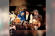 Die Weihnachtsgeschichte