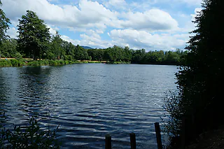 Vörstetter See
