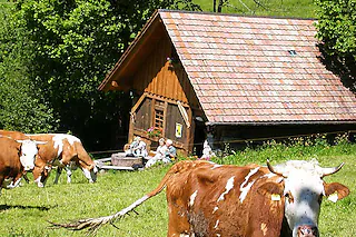 Wehrlehof