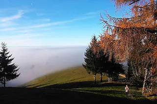 <ONBU></ONBU>Zur Sammlung der Bilder aus dem sonnigen Schwarzwald am Wochenende ein Bild beim Eintauchen in den Nebel am Kaltwasser, Samstag 14 Uhr.<?ZE?>Herzliche Grüße <?ZE?>Martin Keck <?ZE?>Kirnerstr. 1<?ZE?>79117 Freiburg<?ZE?> [Martin Keck]