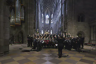  [Foto: Jürgen Gocke, Jürgen Gocke Fotodesign]