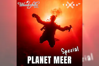 WUNDERFALKE: Planet MEER Spezial - TERRA X - LIVE