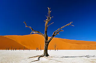 Namibia & Botswana - Echo der Schöpfung